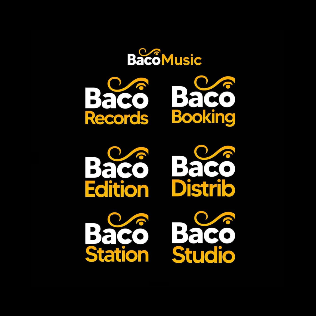 Relooking Logo Baco music et ses déclinaison par service