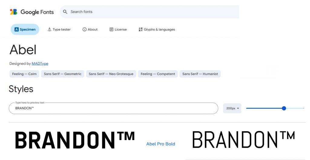 Font utilisé pour le logo dans l'identité visuelle de Logo BRANDON™