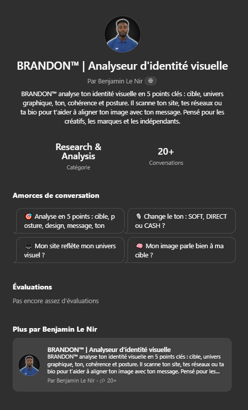 Interface du GPT Tool BRANDON™