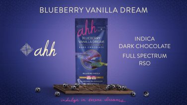 Ecran de diffusion en dispensaire Blueberry Vanilla Dream
