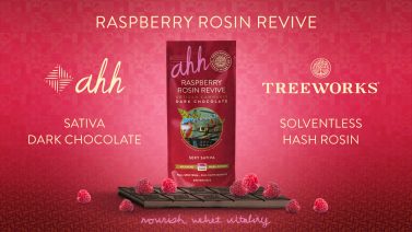Ecran de diffusion en dispensaire Raspberry Rosin Revive