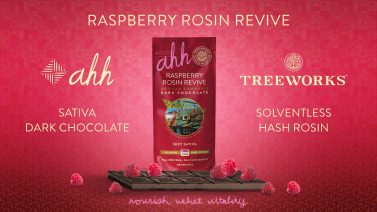 Ecran de diffusion en dispensaire Raspberry Rosin Revive
