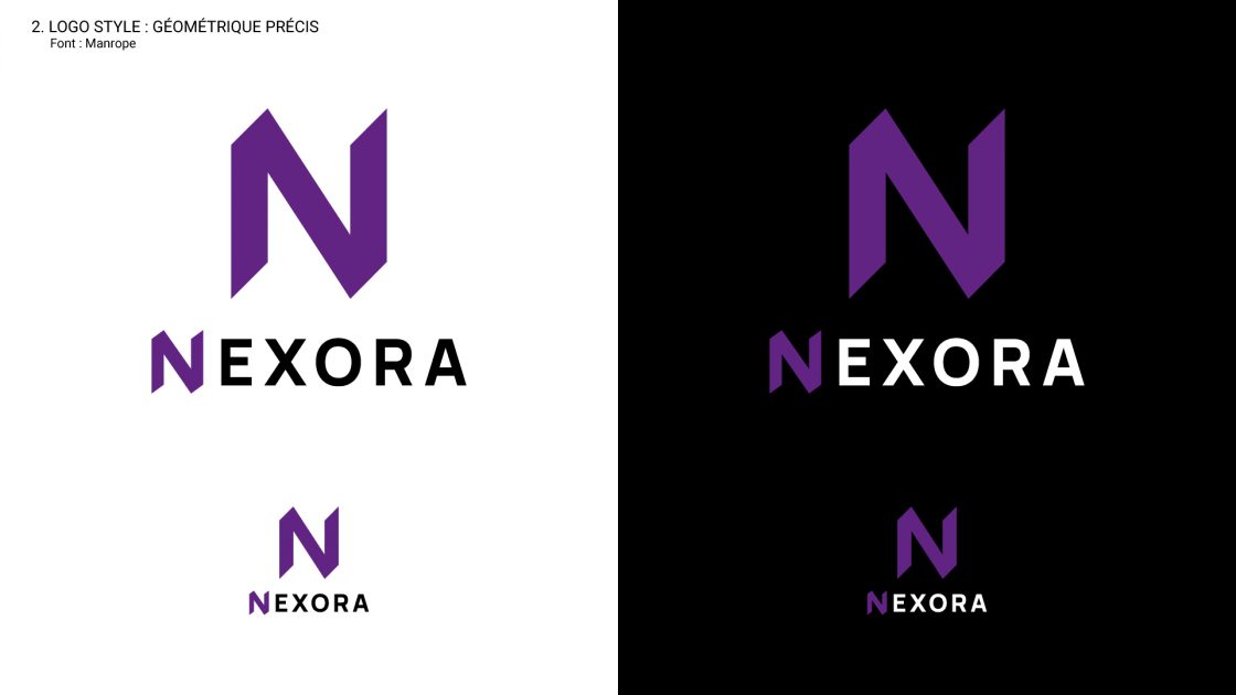 Style de logo géométrique précis