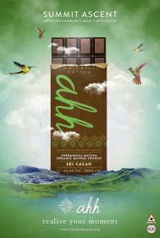 Poster-Summit-Ascent