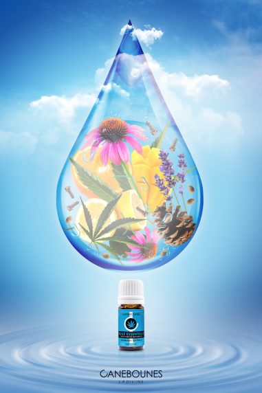 Affiche bien-être – visuel pour huile essentielle Graphiste affiche à Bordeaux – visuel design pour huile essentielle Canebounes
