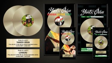 Découvrez comment fabriquer un disque d’or personnalisé