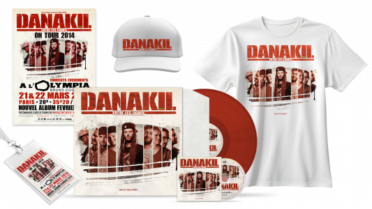 Direction artistique complète par un graphiste musical : pochette vinyle, affiche de concert, merchandising textile..